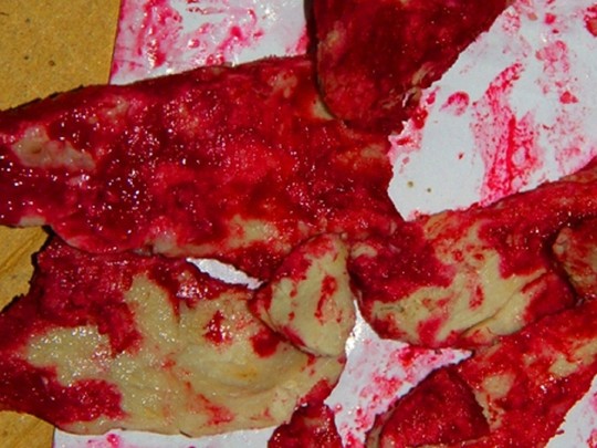 Thịt đỏ như máu phát hiện ở Hà Tĩnh năm 2014 Ảnh: NLĐO