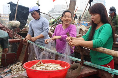 Ngư dân Sầm Sơn đã ra biển đánh cá bình thường