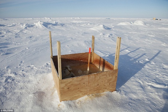 Nhà vệ sinh công cộng đơn sơ giữa băng tuyết gần Trạm nghiên cứu vật lý ứng dụng, phía bắc vịnh Prudhoe, Alaska, Mỹ.