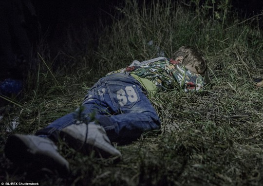 Ahmed, 6 tuổi, ngủ trên một bãi cỏ ở vùng Horgos, Serbia. Cậu bé được chú chăm sóc sau khi cha bị giết ở TP Deir ez-Zor - Syria. Ảnh: IBL