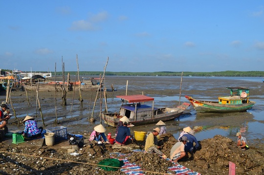 Thạnh An là xã đảo thuộc huyện Cần Giờ, cách trung tâm TP HCM hơn 70 km về phía đông. Người dân trên đảo chủ yếu sinh sống bằng nghề nuôi trồng, đánh bắt hải sản, làm muối...