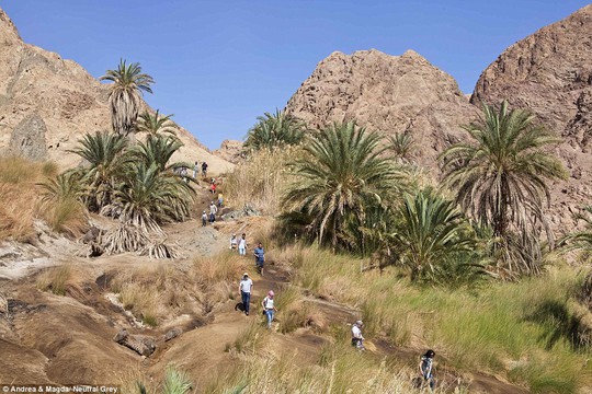 Một nhóm du khách Nga hiếm hoi tham quan ốc đảo Wadi Gunaim ở khu vực Dahab