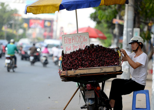 
Bông atisô được quảng cáo với công dụng mát gan và bổ máu bày bán trên đường Cộng Hòa, Q.Tân Bình, TP HCM - Ảnh: Hữu Khoa
