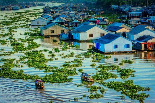 
Tại đây, bạn có thể tự mình cảm nhận cuộc sống lênh đênh trên sông nước của những người dân bản địa, tìm hiểu kiến trúc nhà sàn độc đáo của người Chăm để có thể tránh được nước những ngày mưa lũ liên miên. Hay ghé qua những công trình tín ngưỡng của người Chăm để tìm hiểu những nét đẹp trong văn hóa và tín ngưỡng.
