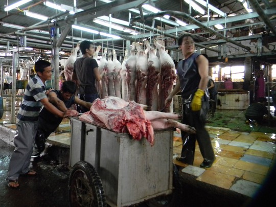 Thiếu lò mổ hiện đại là những điểm yếu nhất của ngành chăn nuôi của Việt Nam