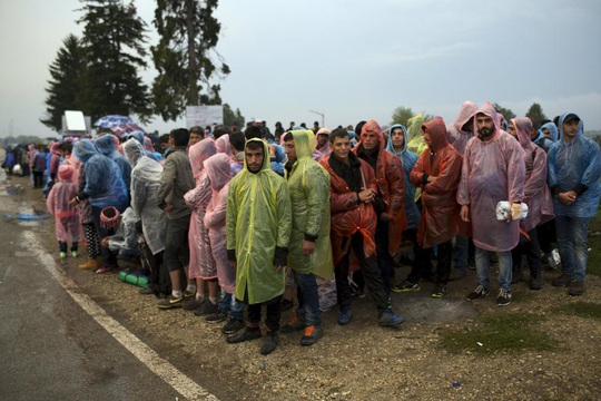 Người di cư trên cánh đồng tại biên giới Serbia - Croatia hôm 24-9 Ảnh: REUTERS