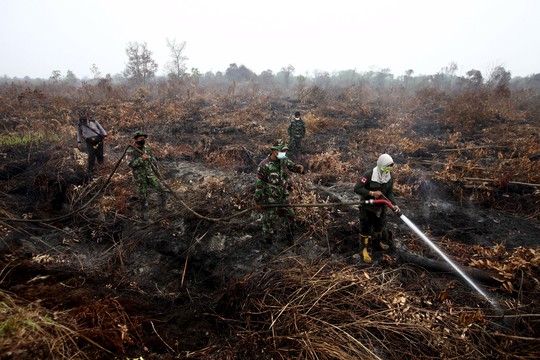 Nhân viên cứu hỏa, binh sĩ dập lửa tại tỉnh Riau hôm 9-9 Ảnh: REUTERS
