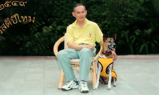 Quốc vương Bhumibol Adulyadej và chú chó cưng Tongdaeng. Ảnh: Reuters
