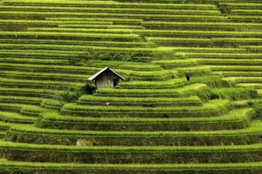Ngây ngất vẻ đẹp Việt Nam trên trang ảnh nước ngoài - Báo Người ...