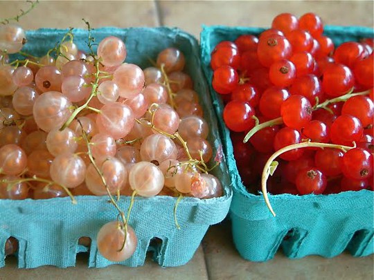 
Về đến Việt Nam, nho currant có giá lên đến 2 triệu đồng/kg
