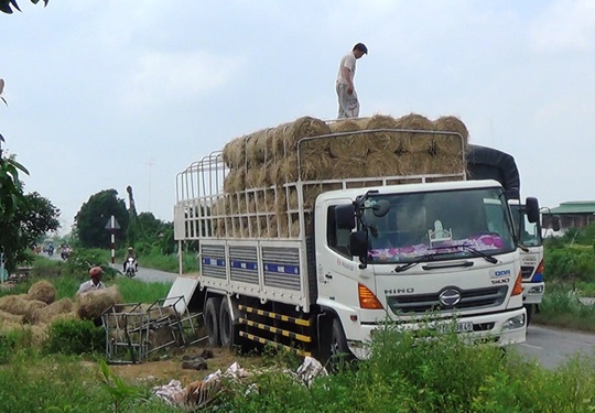 Riêng các thương lái mua bán rơm, mỗi ngày trừ hết chi phí còn lời từ 1,5 -2 triệu đồng/ngày. Nhờ nghề mua bán rơm, nhiều người khá lên