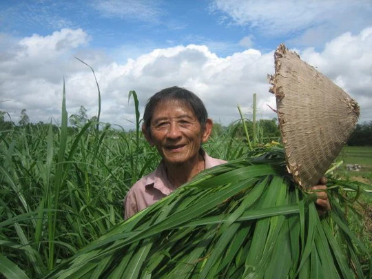 Ông Hồ Giáo