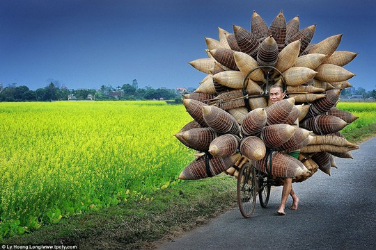 Ảnh của Lý Hoàng Long