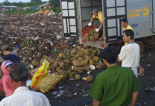 
Lực lượng công an tỉnh Đắk Lắk tiến hành tiêu hủy số sầu riêng bị nhúng hóa chất
