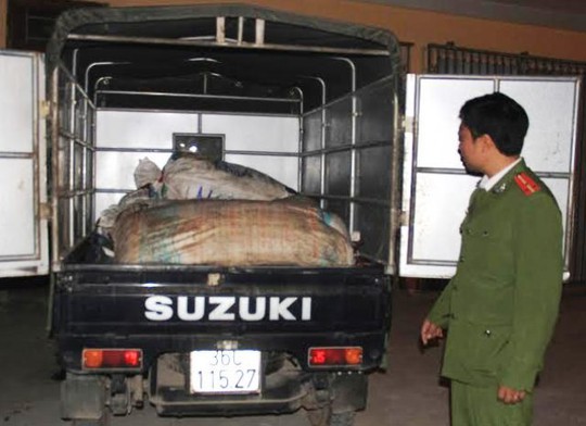 
Xe tải chở bì lợn hôi thối bị Công an TP Thanh Hóa bắt giữ
