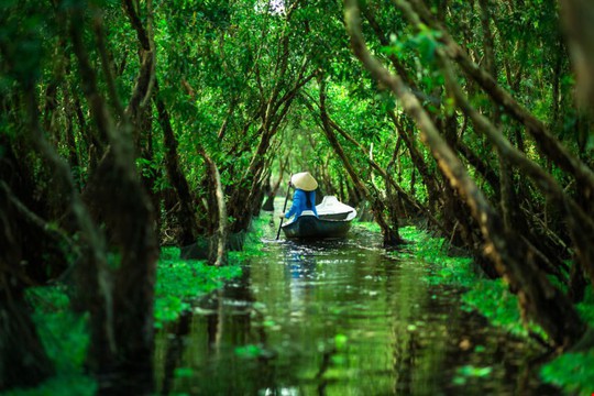 Vẻ đẹp của Việt Nam khó ai bàn cãi! Đất nước ta có những danh thắng, di sản văn hóa và phong cảnh thiên nhiên tuyệt đẹp. Bức ảnh này chắc chắn sẽ khiến bạn mê mẩn với vẻ đẹp đồi núi, biển cả, hay những thác nước veo von.