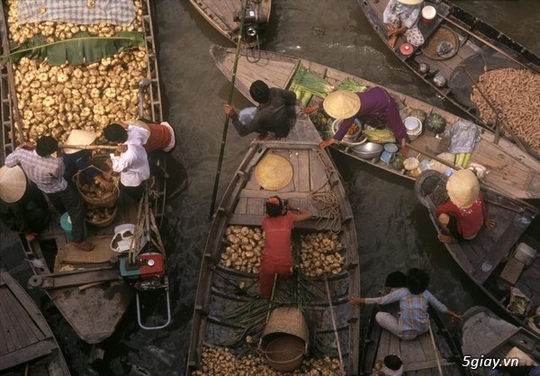 
Cảnh chụp khu chợ nổi Phụng Hiệp

