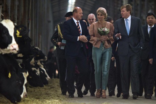 
Quốc vương Willem-Alexander và Hoàng hậu Maxima thăm một trại bò sữa ở Bắc Kinh. Ảnh: AP

