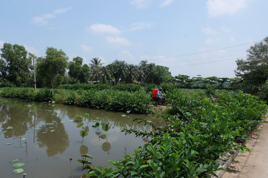 Cảnh đất bỏ hoang ở Thanh Đa rồi đây sẽ không còn khi khu đô thị Bình Quới - Thanh Đa được triển khai