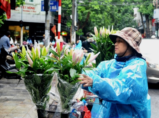 Người phụ nữ bán hoa dạo dậy từ sớm đi lấy hàng rồi đưa hoa tươi đi bán dọc phố trong mưa