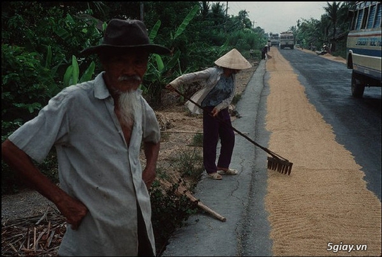 
Cảnh người dân phơi thóc trên một con đường ở Cần Thơ là một điều lạ lẫm với nhiếp ảnh gia người Bỉ.
