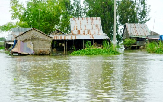 Những căn nhà bị nước lũ vây quanh ở ĐBSCL như thế này giờ rất hiếm gặp. Ảnh chụp năm 2011 tại xã Vĩnh Hanh, huyện Châu Thành, tỉnh An Giang Ảnh: THỐT NỐT