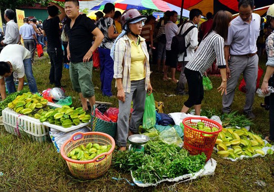 
 Các loại rau, quả gia vị như rau cần, khế chua... để nấu kèm thịt trâu được bán ngay ở chợ
