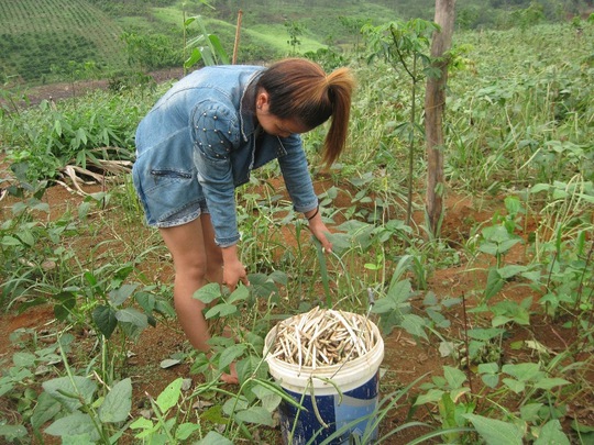 H’N.B (Đắk Nông) và Đ.T.Ph (Đắk Lắk) vừa được giải thoát khỏi các “động quỷ” ở Trung Quốc