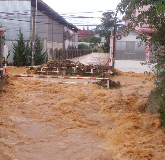 
TP Đà Lạt nằm ở độ cao khoảng 1.500 m so mực nước biển nhưng nay thường xuyên bị ngập úng
