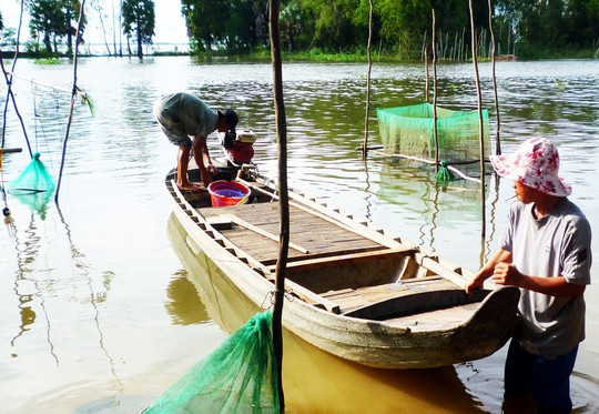 Bờ kênh Vĩnh Tế (huyện Tịnh Biên, tỉnh An Giang) ngập chìm trong nước lũ vào tháng 10-2013