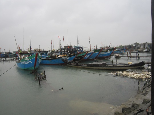 
Tàu đánh cá của ngư dân địa phương neo đậu trên phá Tam Giang, đoạn gần cửa biển Thuận An, để trú bão
