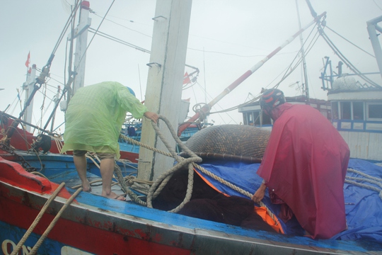 Ngư dân tỉnh Quảng Nam gia cố tàu thuyền tại nơi neo đậu để tránh bão