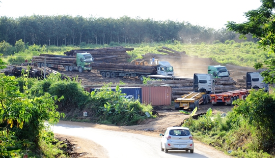 Dù đã đóng phí bến bãi cho UBND tỉnh Kon Tum nhưng nhiều doanh nghiệp vẫn phải thuê thêm đất để chứa gỗ