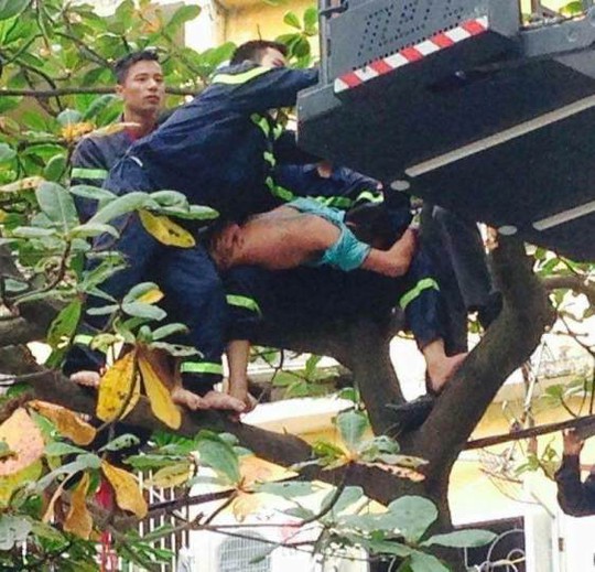 
Người đàn ông đang bị lực lượng chức năng khống chế trên cây (ảnh Facebook)
