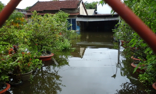 Chỉ một cơn mưa, khu dân cư hẻm 229 Hồ Học Lãm đã ngập nặng dài ngày