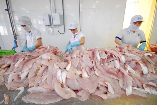 Đường vào Mỹ của cá tra Việt Nam sau năm 2017 sẽ khó khăn hơn khi nước này áp dụng Đạo luật