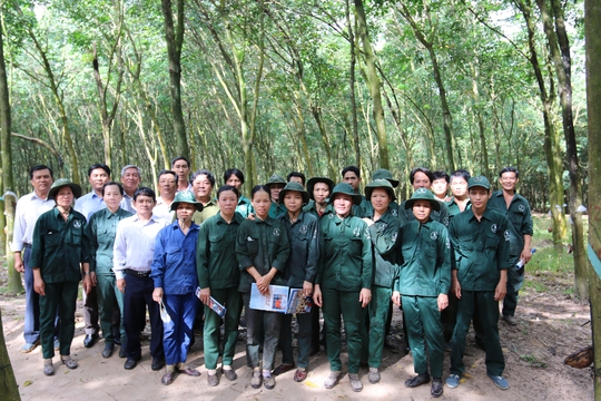 Lãnh đạo Công đoàn Cao su Việt Nam thăm hỏi công nhân các nông trường