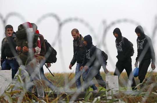 Người di cư gần điểm tập trung ở làng Roszke - Hungary hôm 11-9. Ảnh: Reuters