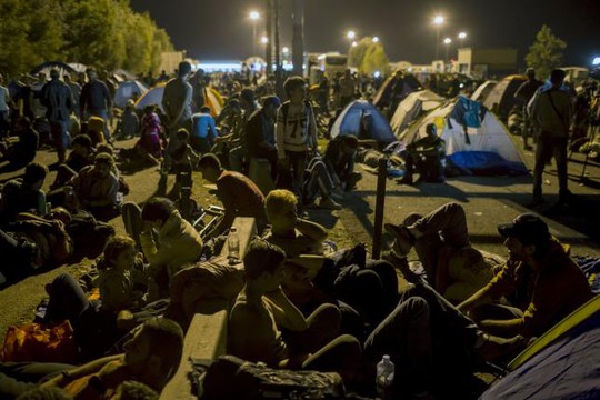 Cả ngàn người đang mắc kẹt ở biên giới Hungary - Serbia. ẢNh: Reuters