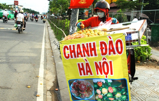 Chanh đào Hà Nội được bán dạo khắp các tuyến đường Sài Gòn.