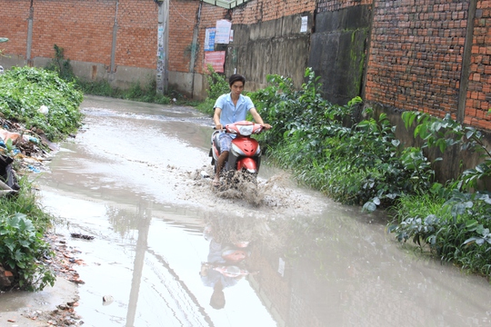 
Hẻm 520 Quốc lộ 1A, phường Hiệp Bình Phước, Thủ Đức thường xuyên bị ngập nước
