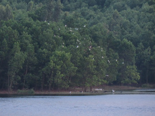 
Hồ An Thọ, nơi anh Quốc bị tử vong.
