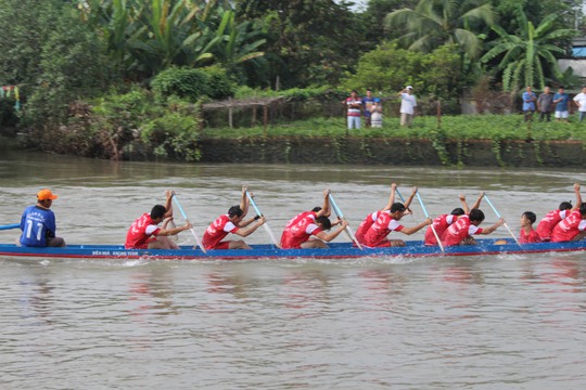 Những tay chèo dũng mãnh khua nước trong tiếng reo hò rộn rã