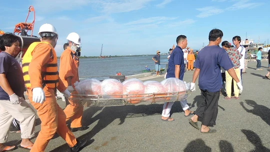 
Thi thể anh Nguyễn Văn Sa (quê Khánh Hòa) và anh Nguyễn Văn Quãng (quê Ninh Bình) đã đưa về Trung tâm Phối hợp tìm kiếm cứu nạn Hàng hải khu vực III
