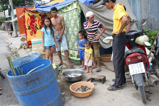 
2 thành viên trong nhóm đưa cá về bày bán ở lề đường ngã 3 Tân Bình, thị xã Dĩ An, tỉnh Bình Dương
