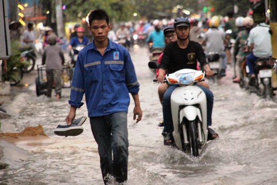 Nhà Bè, quận 8, quận 6, Thủ Đức, Bình Thạnh… là những quận, huyện có nguy cơ bị ngập vào mùng 2, 3