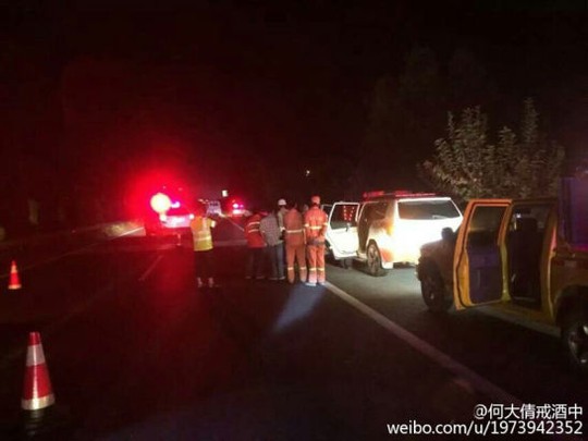 Police had escorted the lion for about 200 meters after she was spotted on the highway.