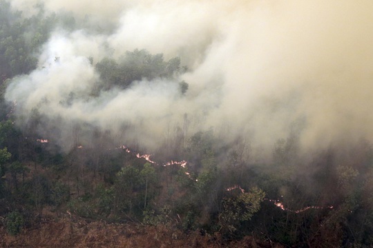 Khói dày đặc bốc lên do đám cháy ở tỉnh Nam Sumatra-Indonesia. Ảnh: REUTERS