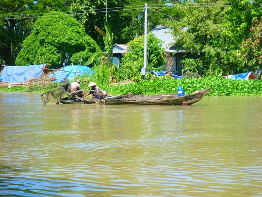 
Đoạn kênh 13 thuộc xã Cô Tô là nơi thường xuyên xảy ra các vụ lật ghe, xuồng hoặc chẹt vì nước chảy xiết.
