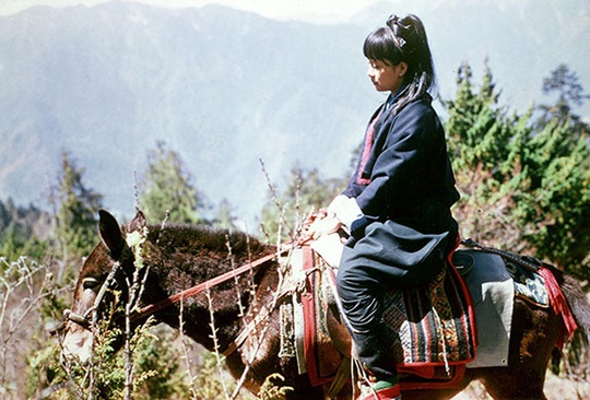Bà Suu Kyi trên lưng một con la trên ngọn núi ở Bhutan năm 1971. Ảnh trong Album gia đình do báo Guardian đăng tải.